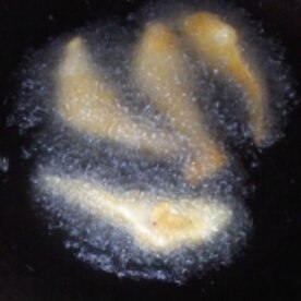 寒ボラの唐揚げ レシピ 作り方 By テツオ63 楽天レシピ 寒ボラの唐揚げ レシピ 作り方 By テツオ63 楽天レシピ